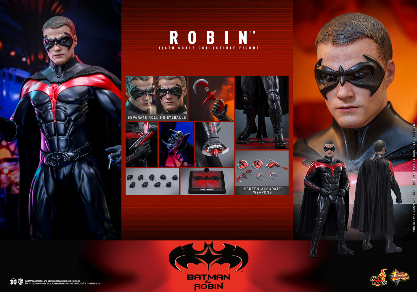Robin