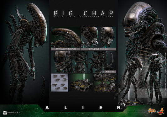 Big Chap