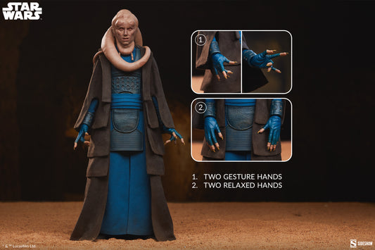 Bib Fortuna™